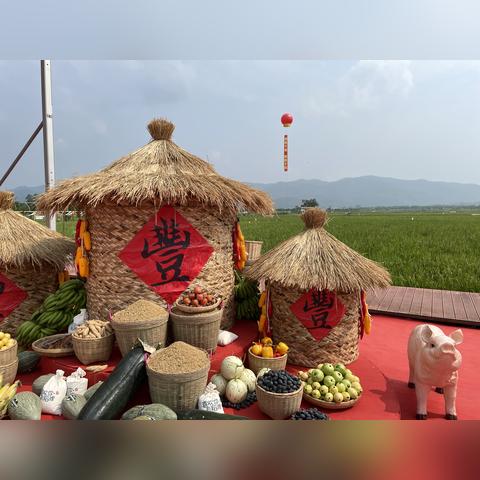 广州适合养什么观赏鱼？
