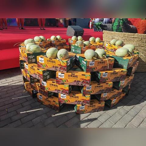 河南汝阳县离哪个区最近