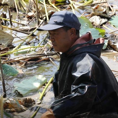 兰州采莲节视频的相关长尾关键词有哪些