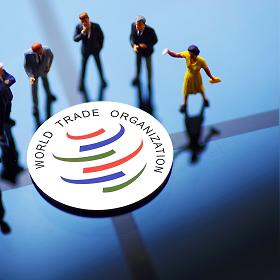 跨境电商产品部 的拓展长尾关键词有什么