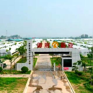 河南香菇获茄的相关长尾关键词有哪些