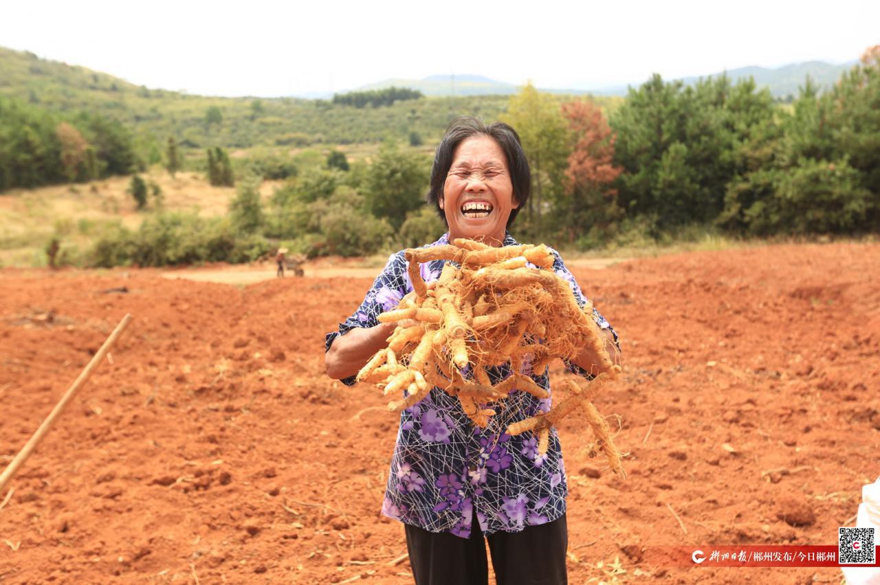 【自助下单24小时平台
 ,和平精英自助下单24小时平台】