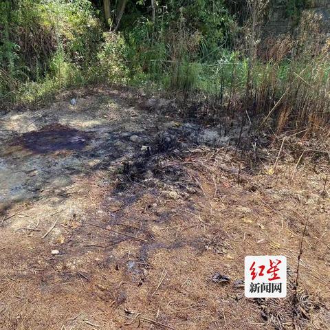 成都市经济犯罪科有哪些