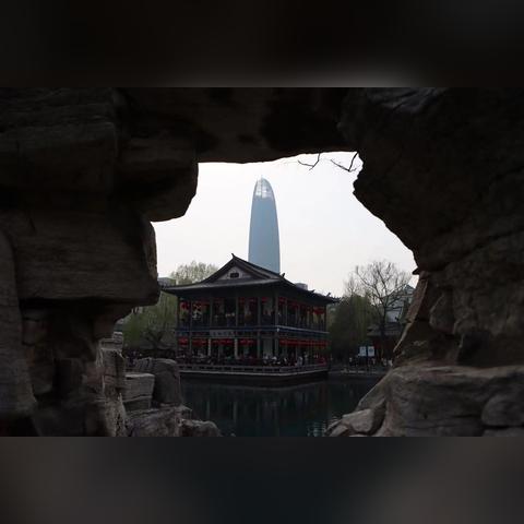 济南市哪里有龟卖