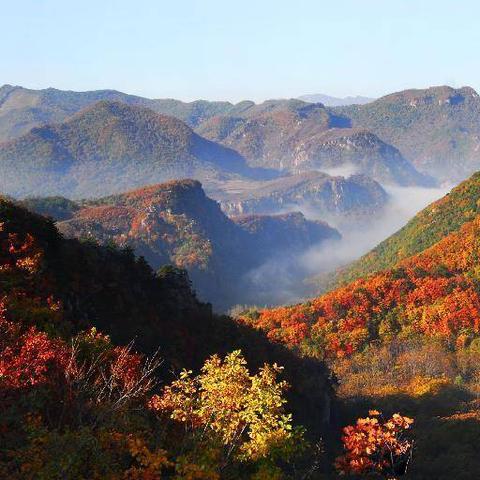 沈阳都市新闻相关长尾关键词有哪些