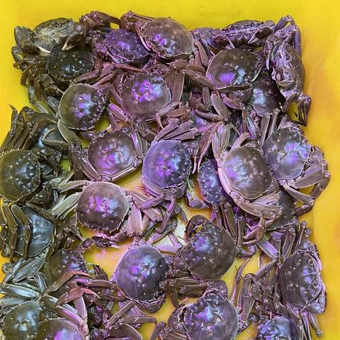 合肥市翠庭园小区怎么样