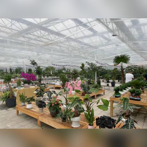 一束鲜花济南市哪里有卖