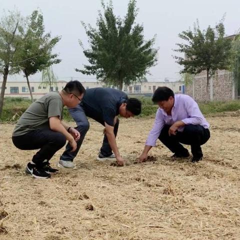 菏泽市年降水多少吨了呀