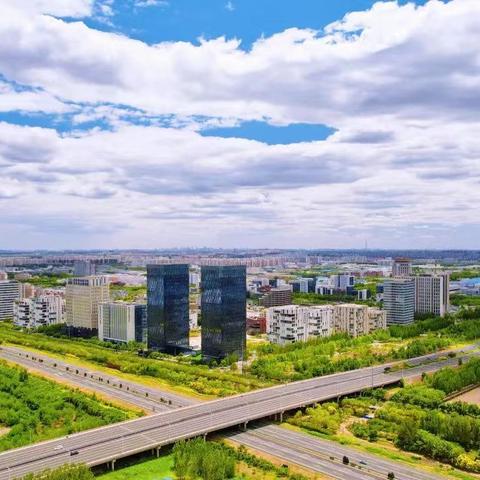 【天津木器鉴定】相关长尾关键词有哪些