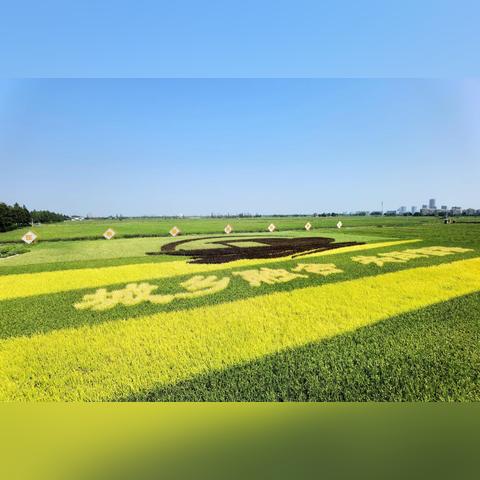 哈尔滨亿景嘉禾怎么样相关长尾关键词有哪些