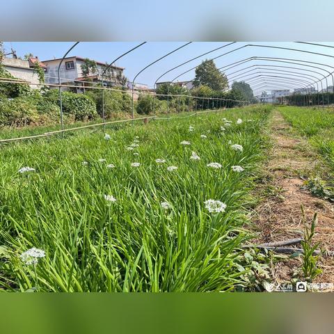 济南市中区牛排店哪个好