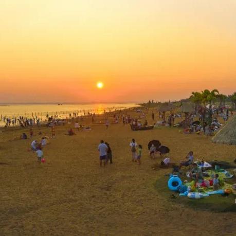 南宁市小考怎么查成绩的