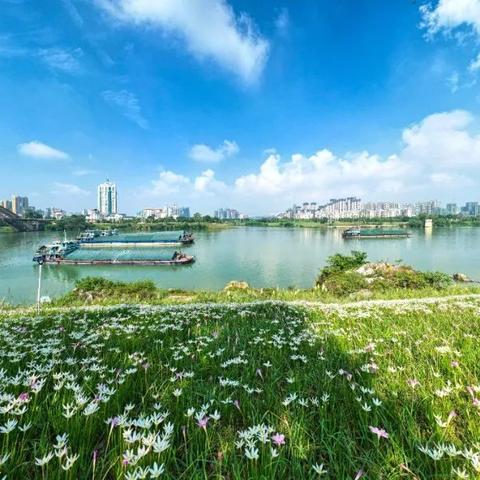 南宁市哪个区水质好