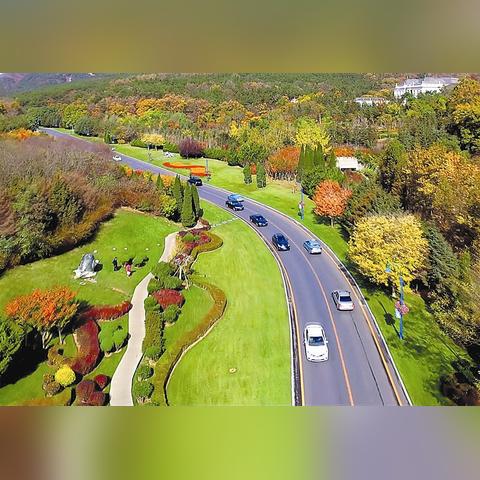 大连市最大海湾是哪个区