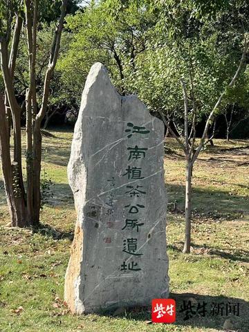 阿里山1905香烟价格及图片一览-第1张图片-香烟批发平台