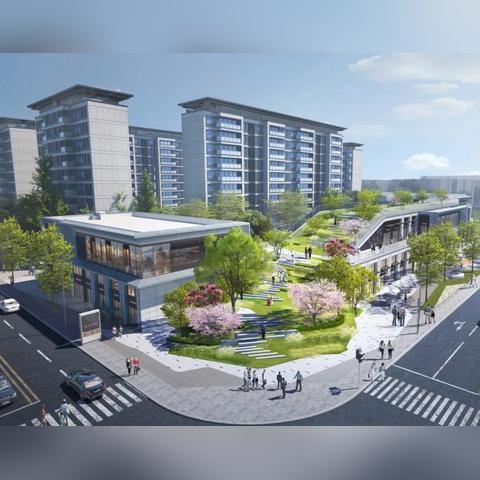 成都市区哪里有单身公寓