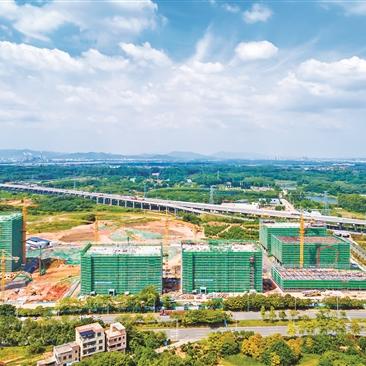 佛山市三资平台交易所在哪里