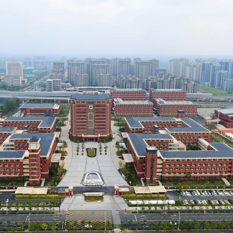 新站高新区属于哪个区？