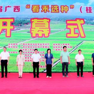 桂林市禾豆美食街在哪里