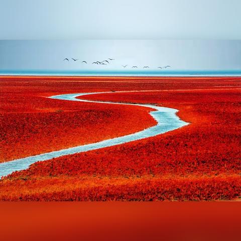 广场摆花图片大全的长尾关键词是什么