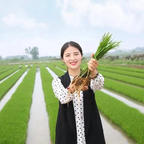 合肥市巾帼家政怎么样