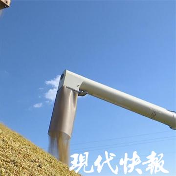 南通市奇妙农场长尾关键词有什么