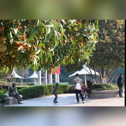 温州市哪个医院看眼睛