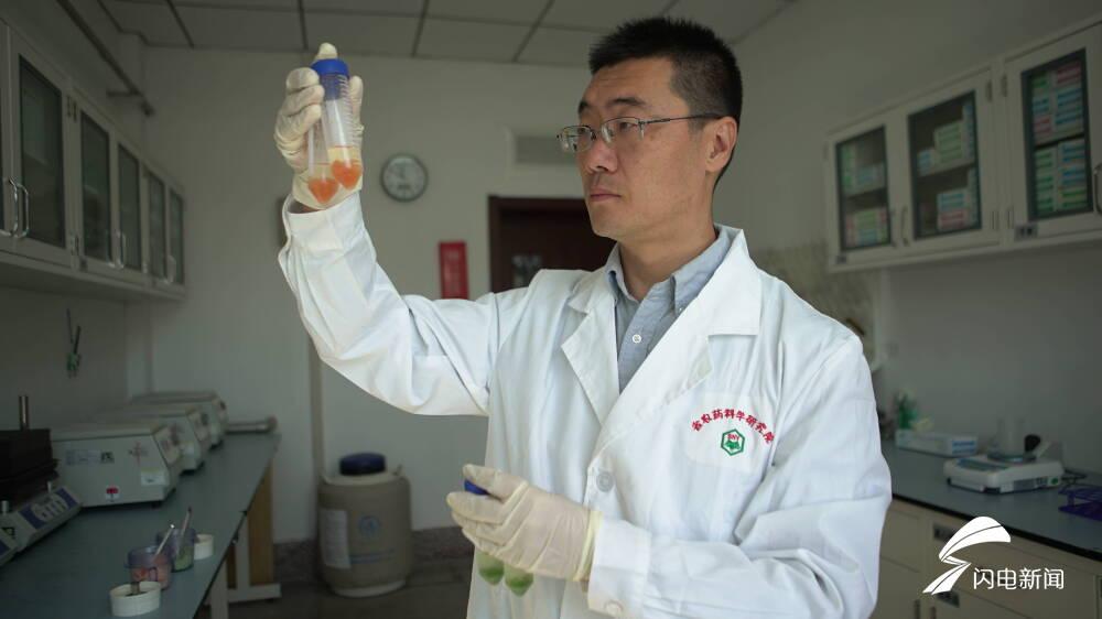 农药sci论文发表的药物科研水平怎么样