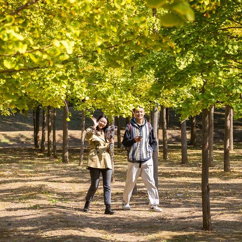 济南浪漫的地方相关长尾关键词有哪些