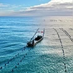 福建生蚝产地哪里最好？