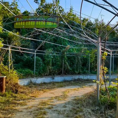 长清在济南的哪个方位？