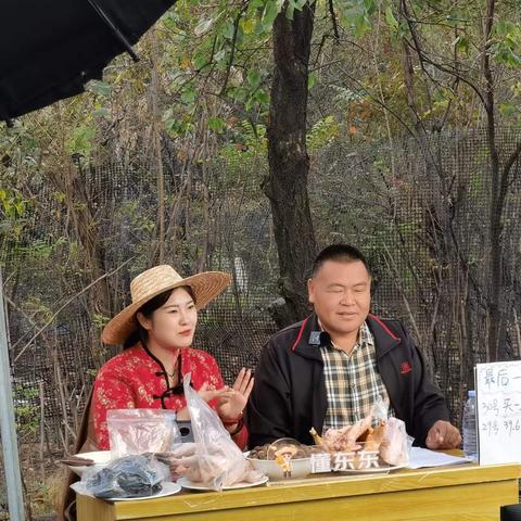 河南南部小麦怎么样