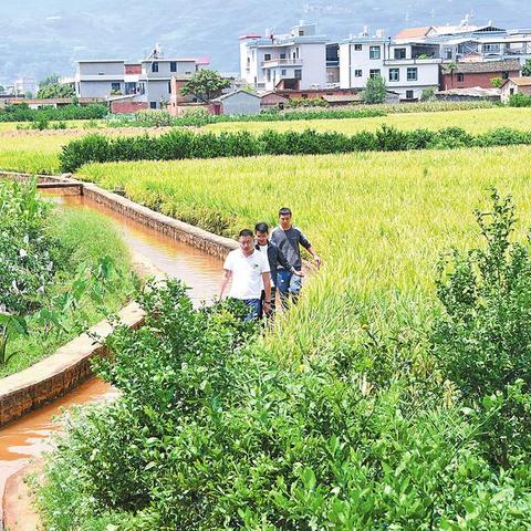 [苏州盘溪新村]相关长尾关键词有哪些