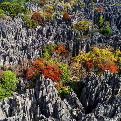 昆明市公园免票的长尾关键词有哪些