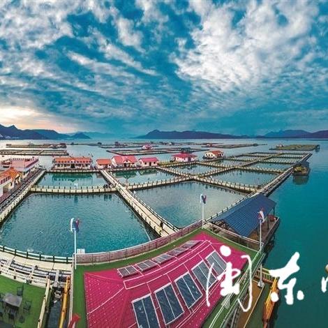 福建宁德哪个县发展最快