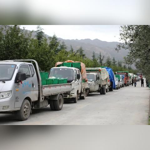 广东东莞市桥头镇海拔多少公里的长尾关键词有什么