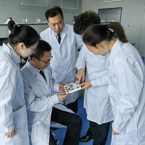 [苏州大型沉浸式密室]长尾关键词有什么