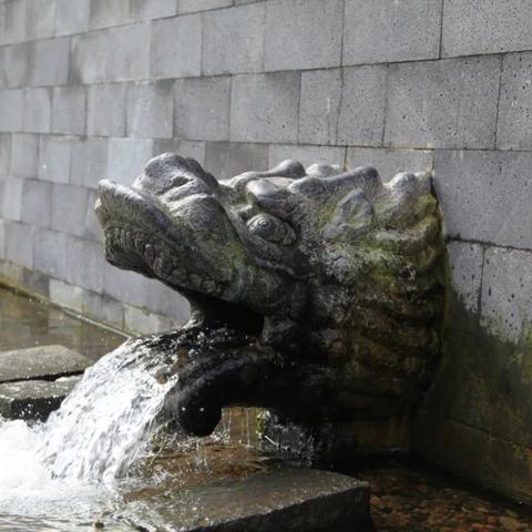 哈尔滨神经专科相关长尾关键词有哪些