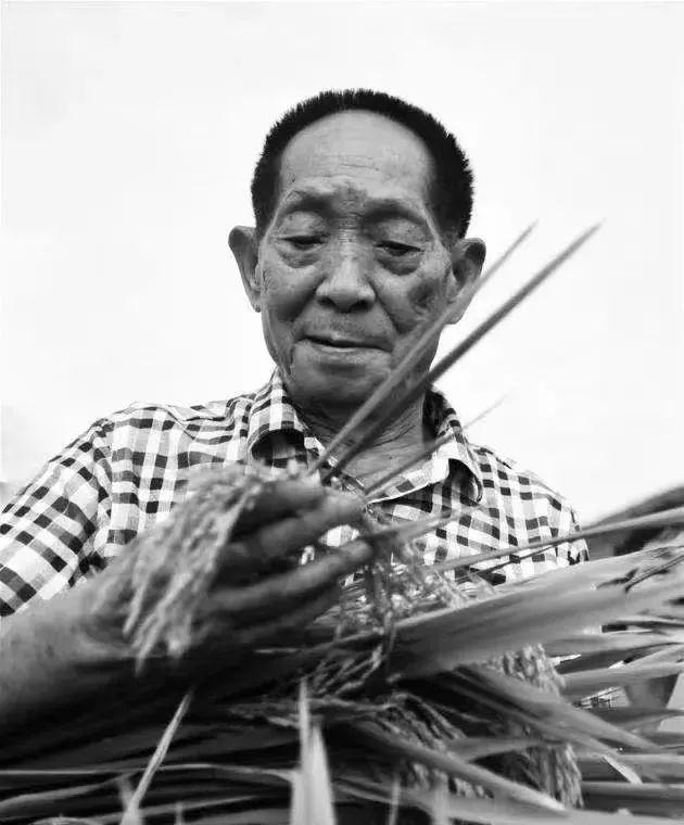 团结毕业论文任务书事业单位专业技术岗位聘用实施细则