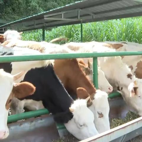 去西安市牛一村怎么坐车