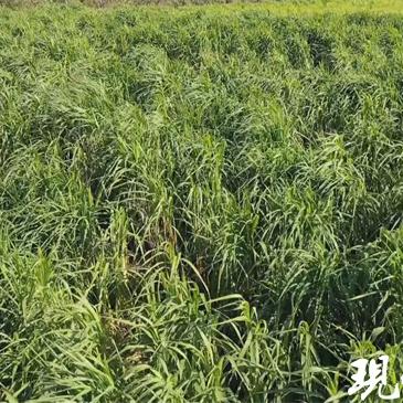 厦门闽快报的相关长尾关键词有哪些