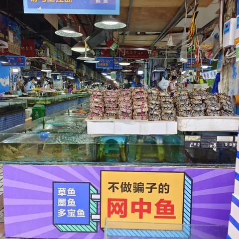 南宁现在韭菜花价格的相关长尾关键词有哪些