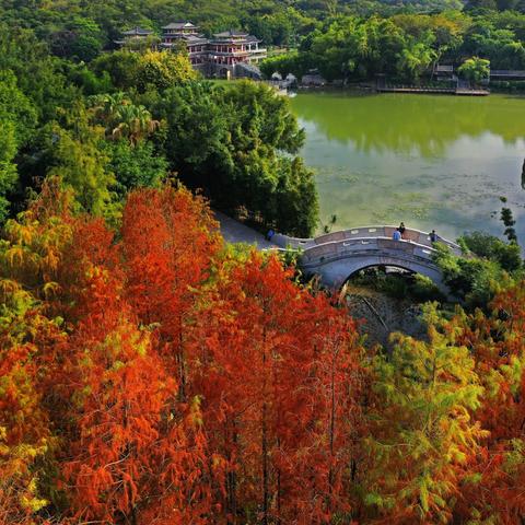 南宁美家的相关长尾关键词有哪些