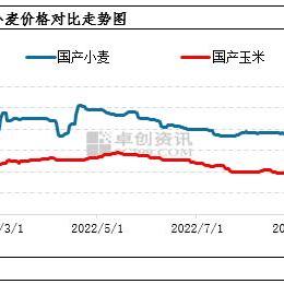 南通市哪里有黄玉米批发