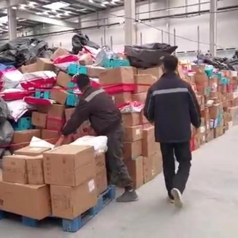 丰网速运怎么查看快递单号？