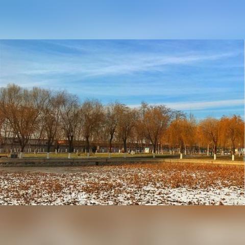 大连市什么时间有雨雪天气