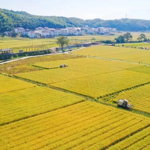 福建绿色建筑怎么样