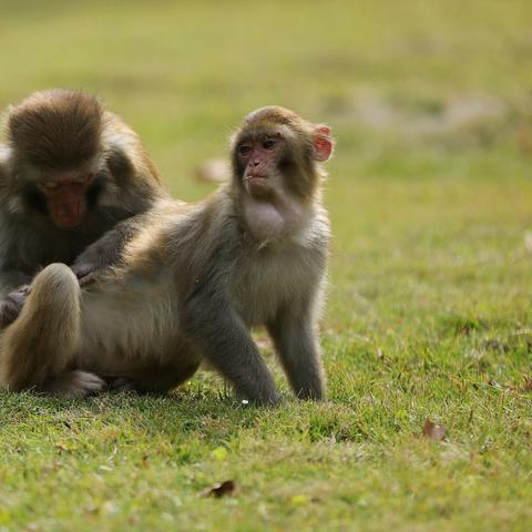人工智能大数据怎么落地的相关长尾关键词有哪些