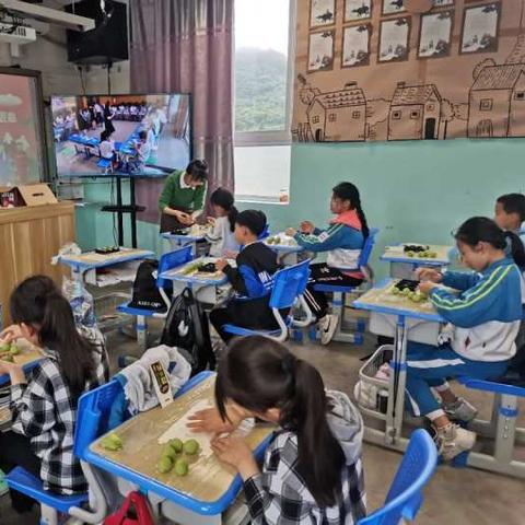 温州市模具协会怎么样