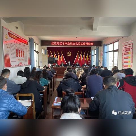 生肖属羊2025每月运势(属羊人2025运势)